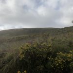 Montée du Menezhom