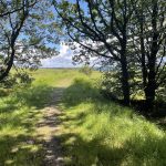 Ultra trail des Monts d’Arrée : Le retour du dossard