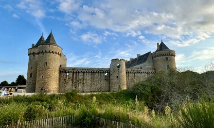 Le réveil des quadris !